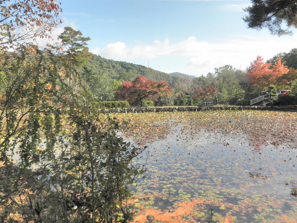 猪名川枫酒店 川边郡 外观 照片